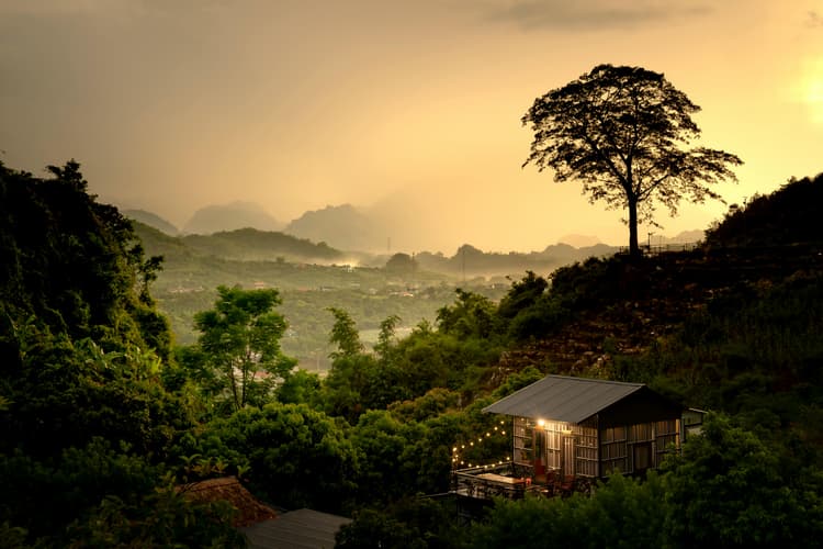 Kenya Safari Experience- Nairobi, Maasai Mara