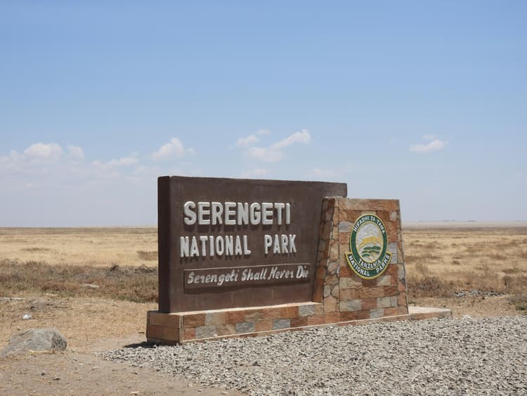 Tanzania Wildlife Trail- Serengeti, Ngorongoro