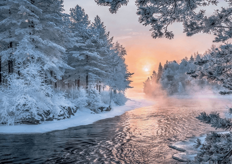 Aurora Dreams- Finland